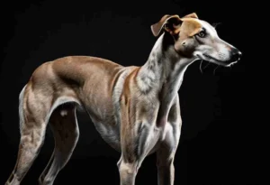 Uncommon Pet Names: Stand Out from the Pack (or Litter)!